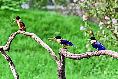 第一人称射击游戏新作《DEFICIT》公布游戏预告片