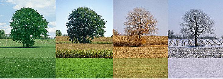 小岛秀夫发布2024年工作总结 多款游戏开发被迫停止